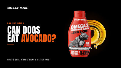 Can Dogs Eat Avocado? Bully Max title card with Bully Max Omega-3 Salmon Oil
