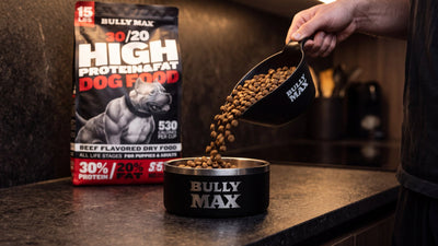 Chicken-free dog food: Bully Max 30/20 beef flavored dog food bag on a kitchen counter with kibble poured into a Bully Max bowl