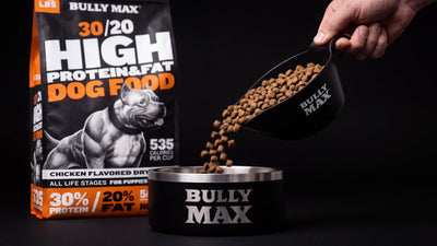Bag of Bully Max 30/20 High Protein chicken dog food with kibble poured from a scoop into a Bully Max bowl