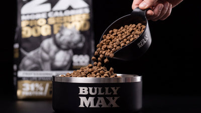Dog feeding schedule: Bully Max bowl being filled with a scoop of kibble, Pro Series dog food bag behind