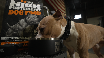 dog food usa family owned brand high protein