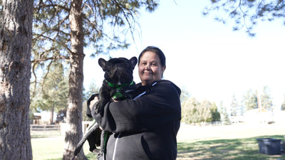 Black French Bulldog held by its owner at a dog sports event