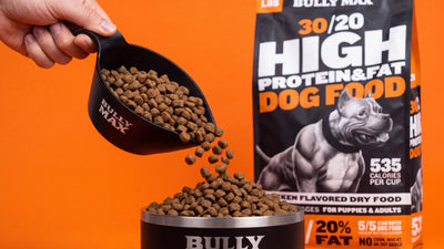 Meat meal in dog food: Bully Max 30/20 chicken dog food bag on an orange background with kibble poured into a Bully Max bowl