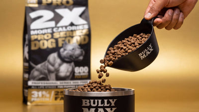 Performance dog nutrition: Bully Max Pro Series 31/25 dog food bag on a gold background with kibble poured into a Bully Max bowl