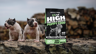 Two bully breed puppies on a rock next to a bag of Bully Max 24/14 High Protein & Growth Puppy Food