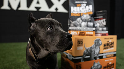 Puppy growth chart: Cane Corso puppy beside Bully Max dog food at the Bully Max training facility
