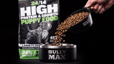 Bully Max 24/14 puppy food kibble pouring into a Bully Max bowl, the growth formula for Cane Corso puppies
