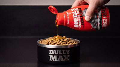 Salmon oil for dogs: Bully Max Omega-3 Salmon Oil poured over kibble in a Bully Max bowl in a kitchen