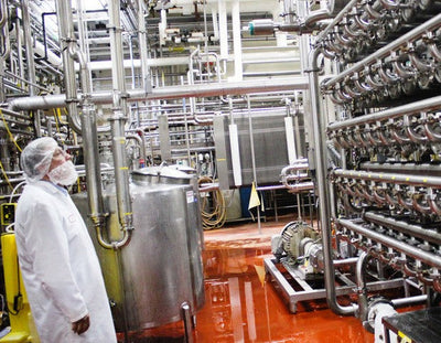 The Truth About “Meat Meal” In Your Dog Food