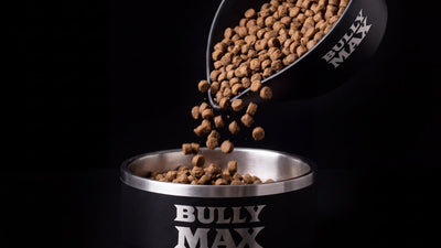 Switching your dog to Bully Max: Bully Max kibble pouring from a Bully Max scoop into a Bully Max bowl