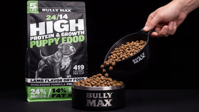 When to switch to adult dog food: Bully Max 24/14 High Protein & Growth puppy food bag with kibble poured into a Bully Max bowl