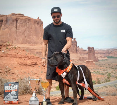 Travis Torrez with Presa Canario Amarillo, ADBA Nationals trophies and a bag of Bully Max 30/20 beef dog food in Moab, Utah