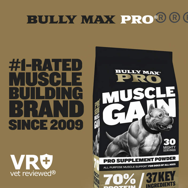 Bully Max Power Tabs for Muscle Gain