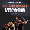 Bully Max 26/12 High Protein Wet Dog Food 10 Count Multipack