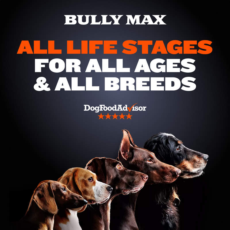 Bully Max High Protein Dog Food | Get 10% Off Premium Dog Nutrition ...