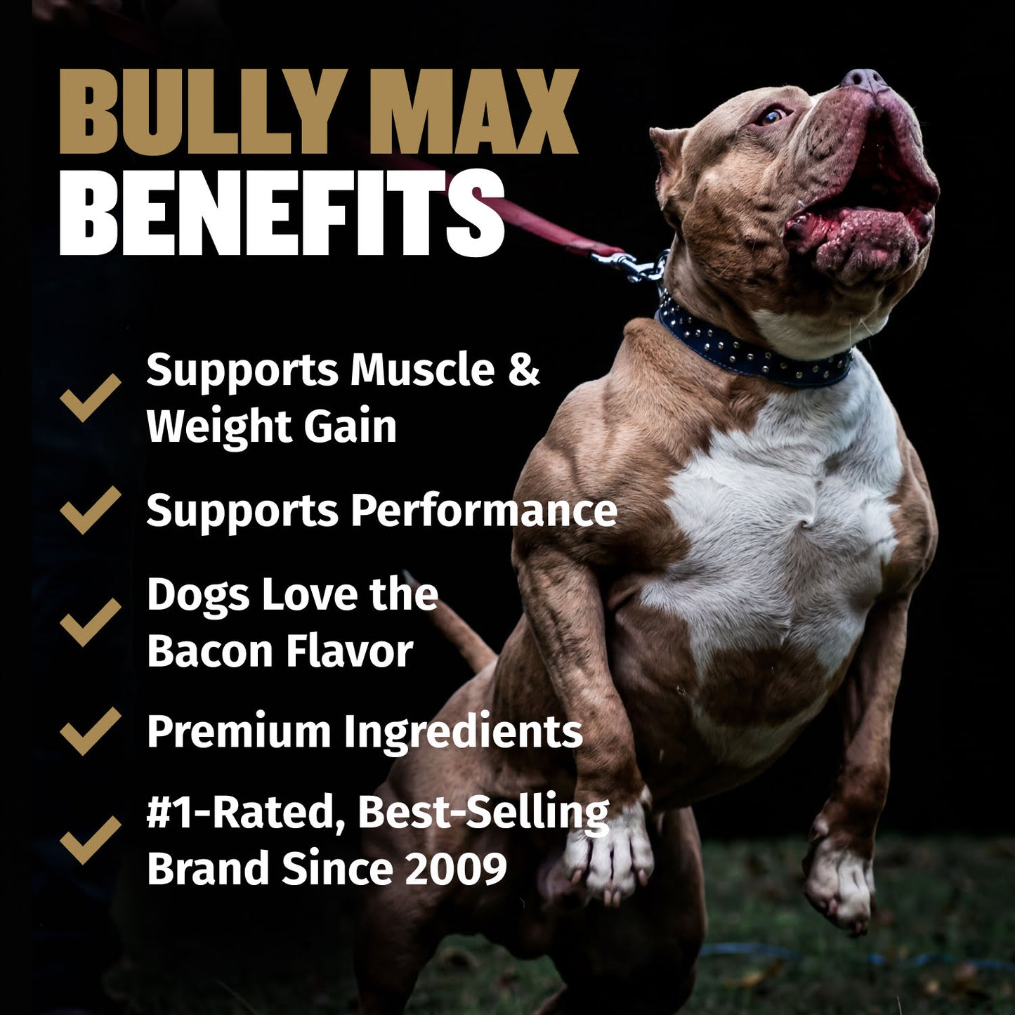 Bully Max Pro Series Power Chews for Muscle Gain
