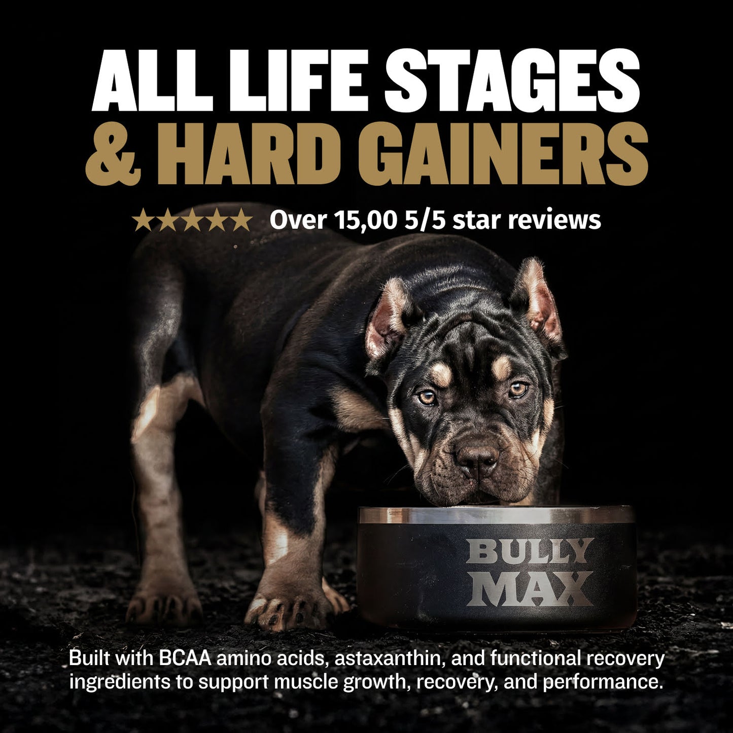 Bully Max Pro Series Power Chews for Muscle Gain