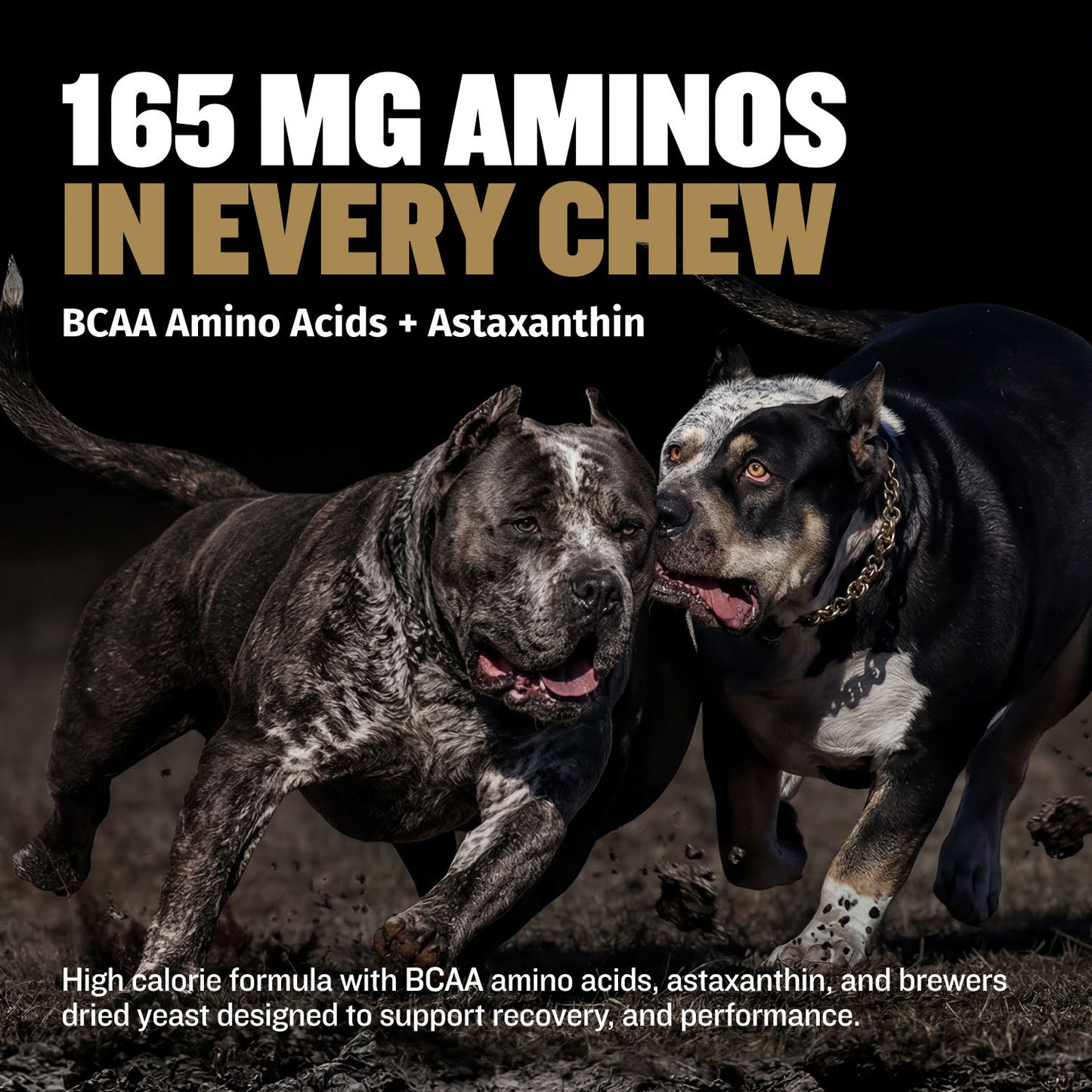 Bully Max Pro Series Power Chews for Muscle Gain