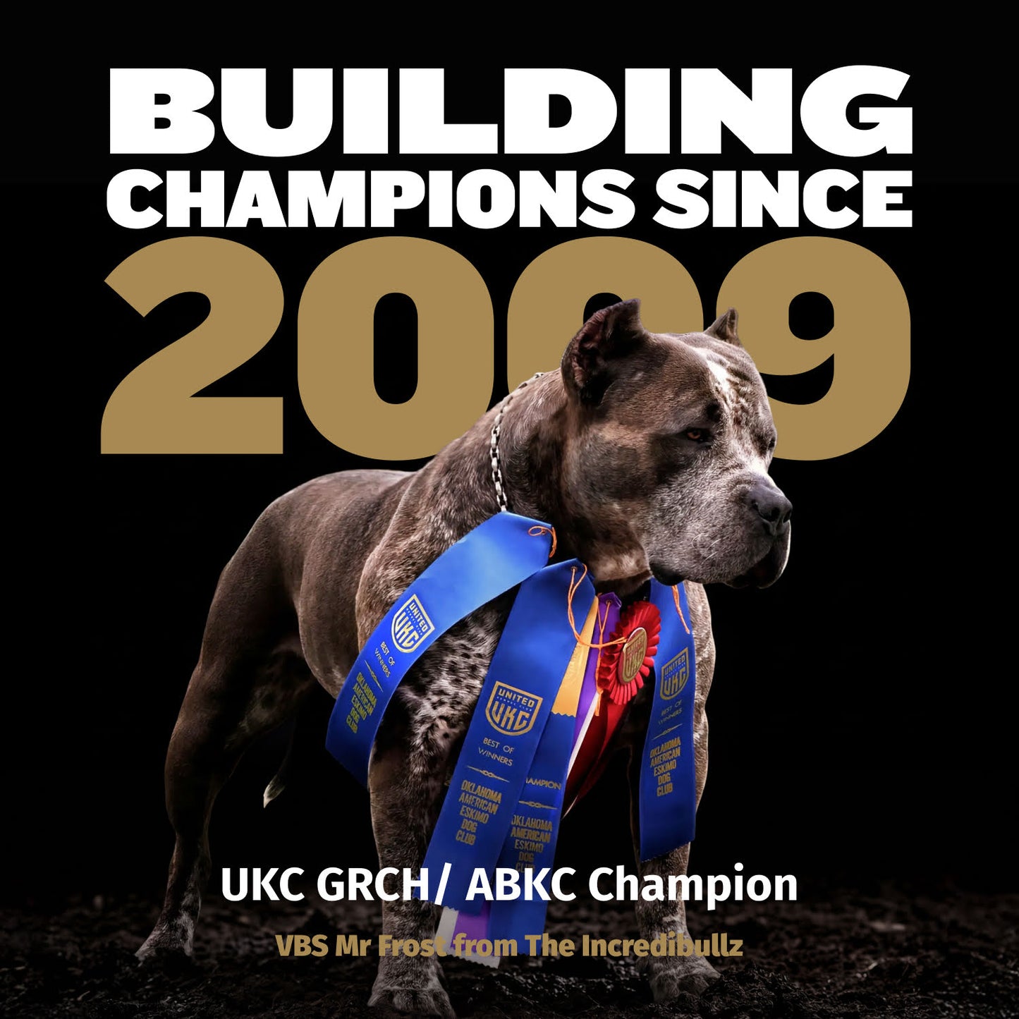 Bully Max Pro Series Power Chews for Muscle Gain