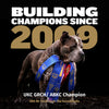 Bully Max Pro Series Power Chews for Muscle Gain