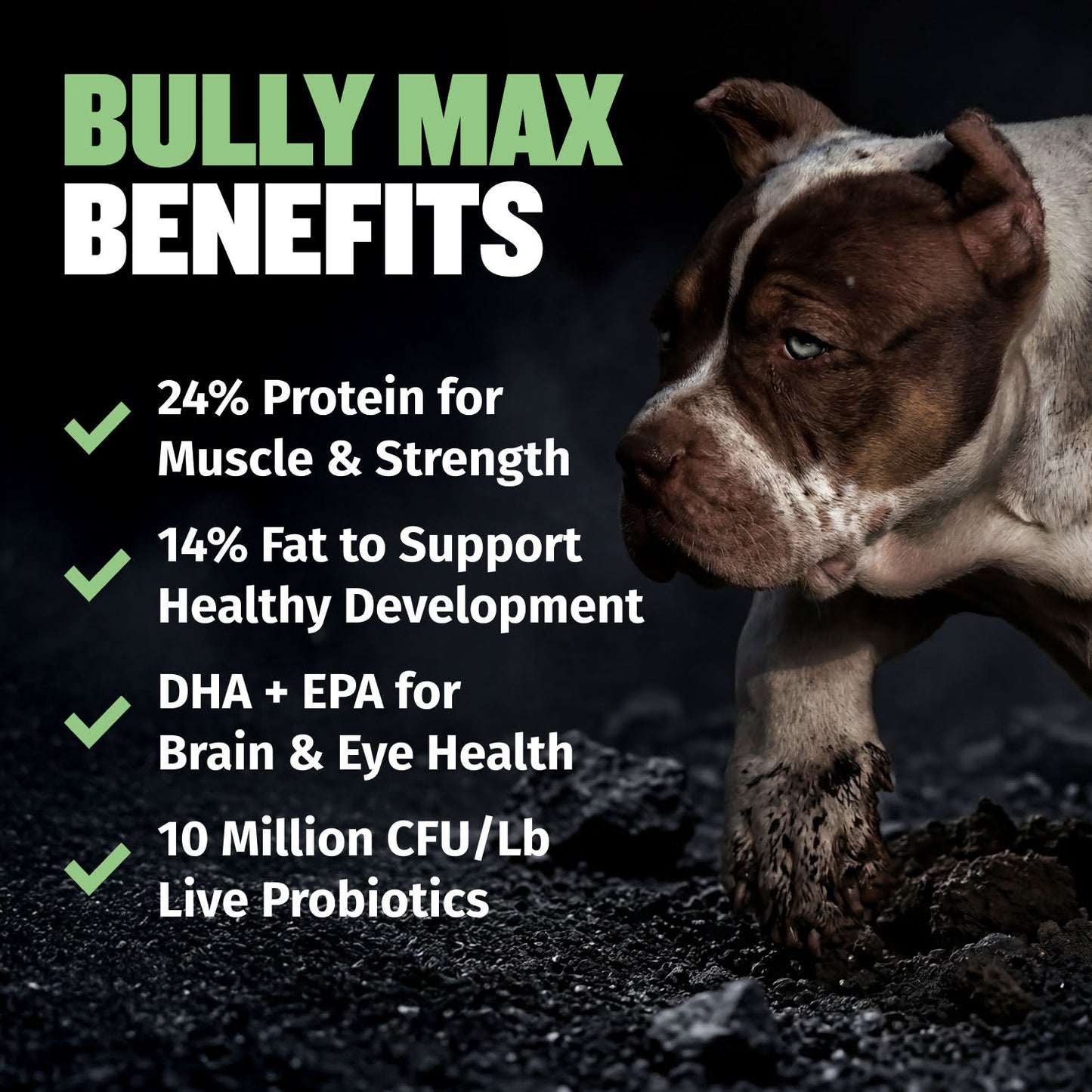 Bully Max 24/14 High Protein & Growth Puppy Food
