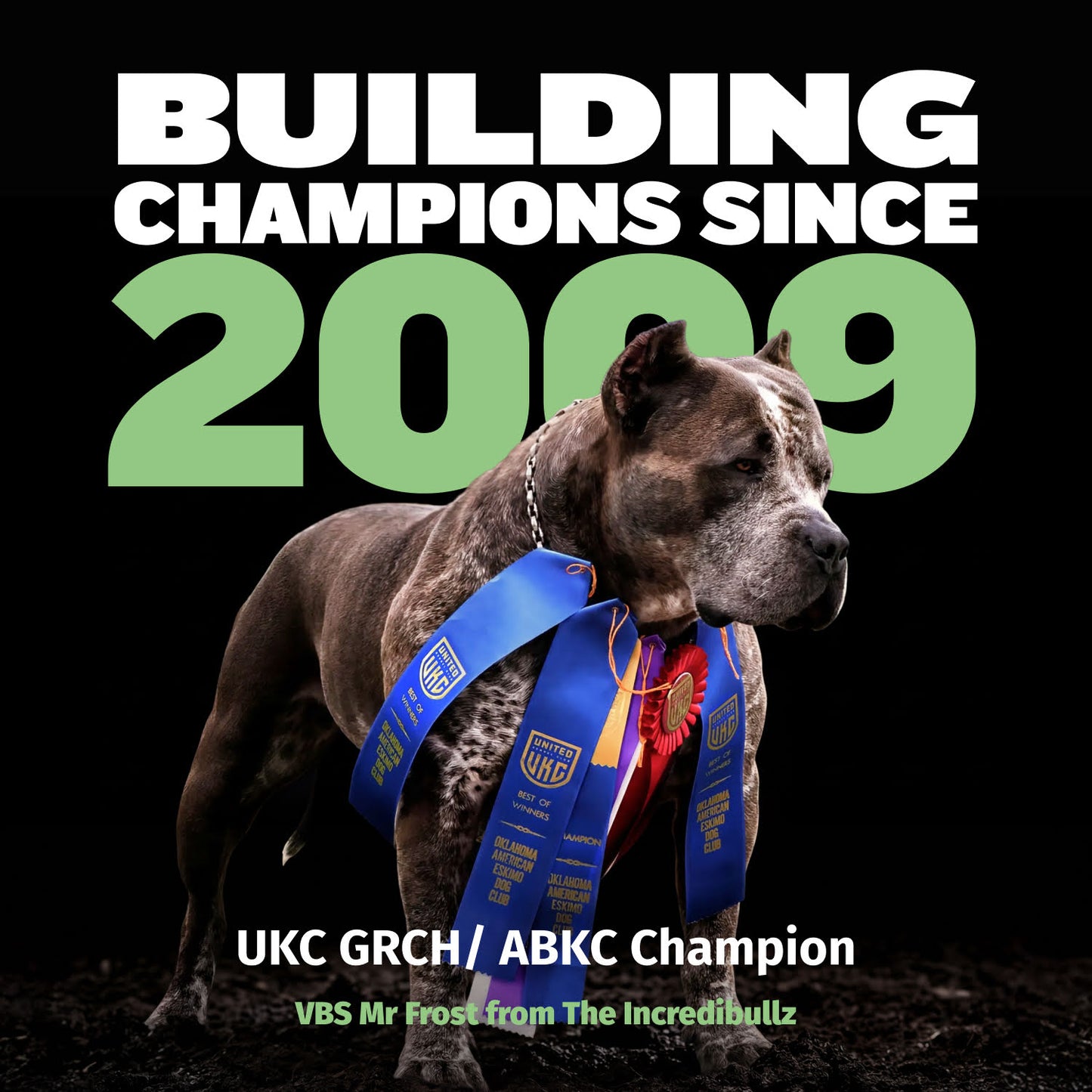 Bully Max 24/14 High Protein & Growth Puppy Food