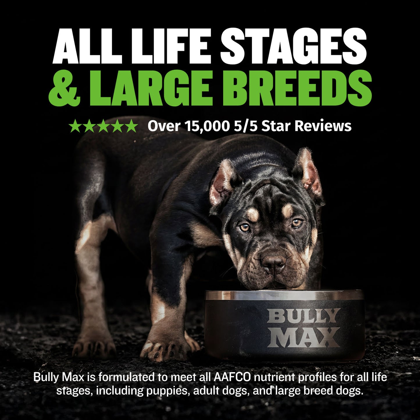 Bully Max 25/11 High Protein Lamb 45% Less Fat Dog Food