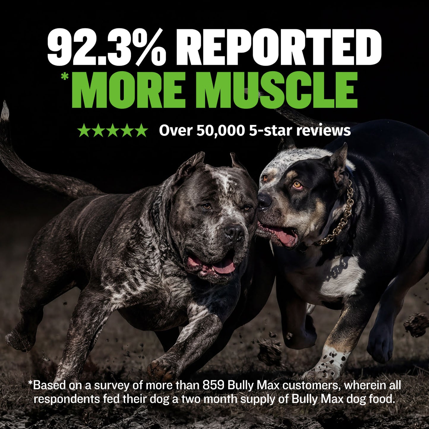 Bully Max 25/11 High Protein Lamb 45% Less Fat Dog Food