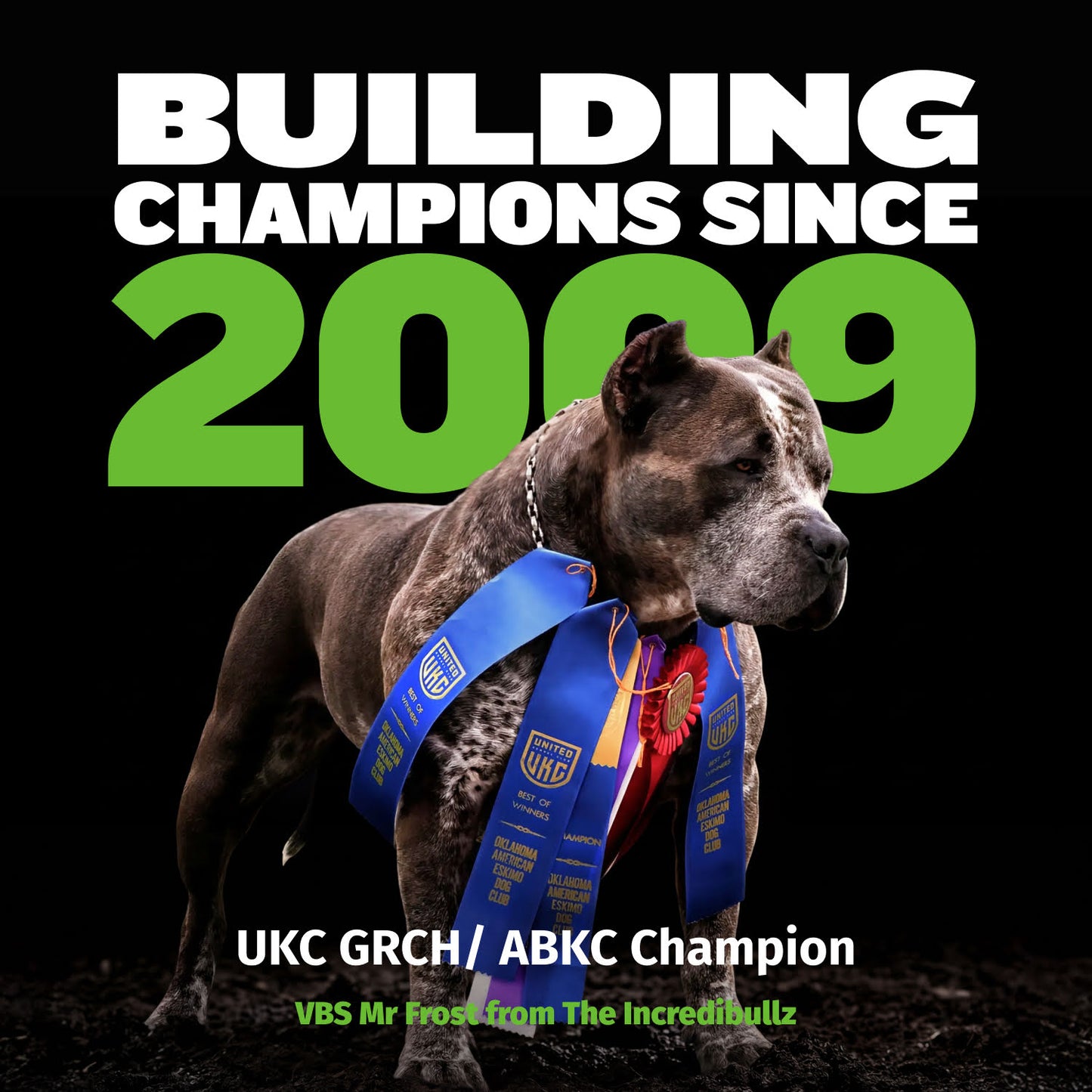 Bully Max 25/11 High Protein Lamb 45% Less Fat Dog Food