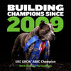 Bully Max 25/11 High Protein Lamb 45% Less Fat Dog Food