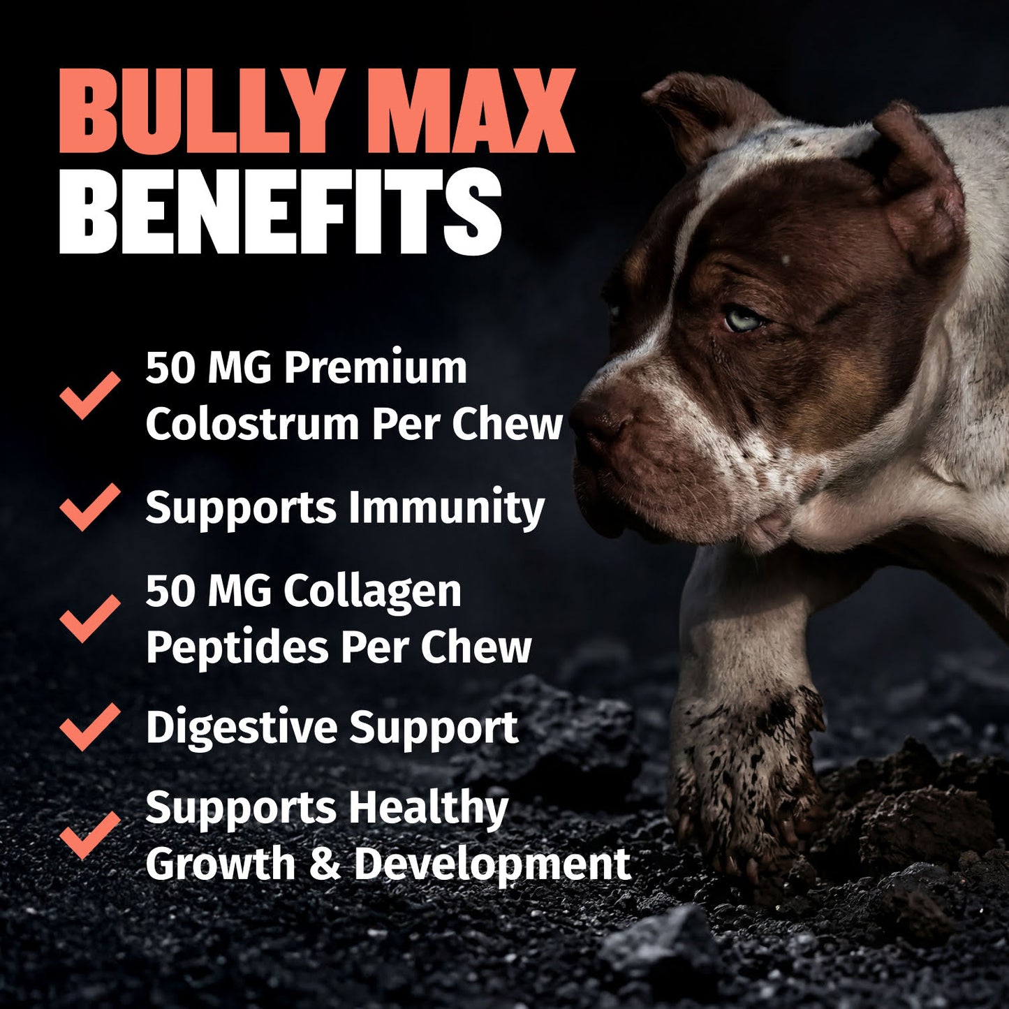 Bully Max Puppy Tabs for Development & Growth
