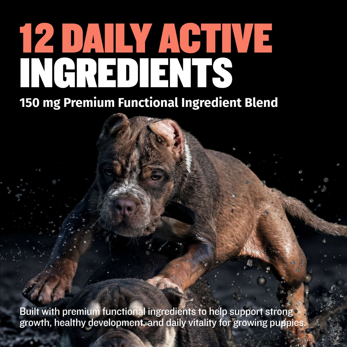 Bully Max Puppy Tabs for Development & Growth