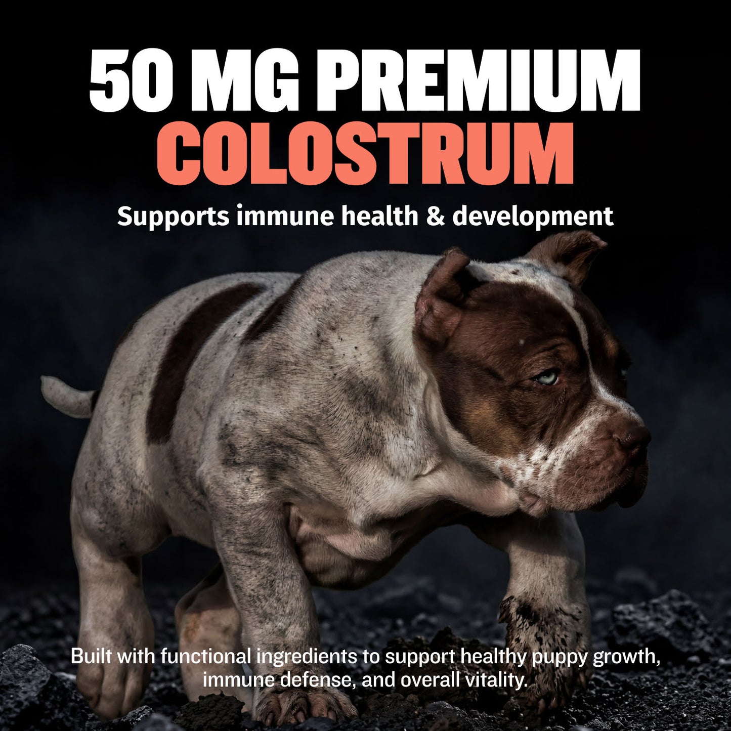 Bully Max Puppy Tabs for Development & Growth