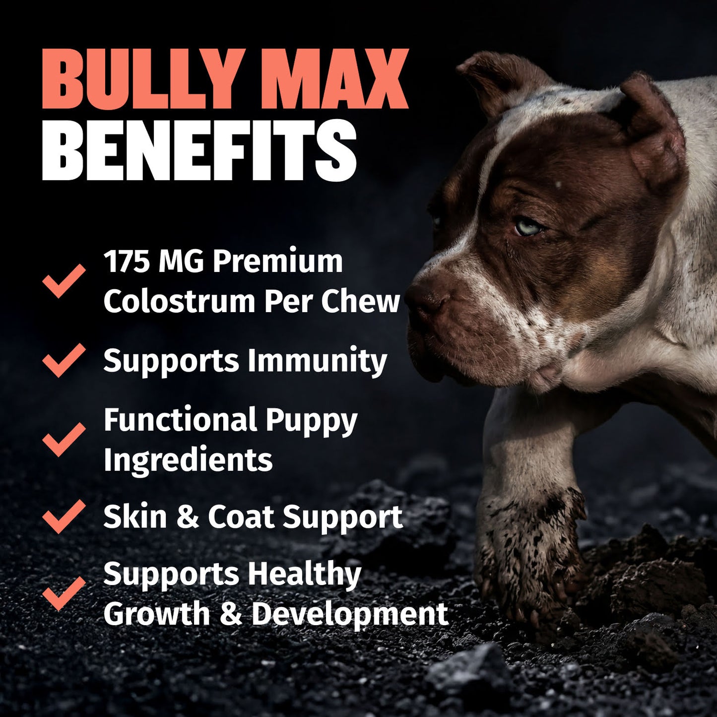 Bully Max Puppy Chews for Immunity & Growth