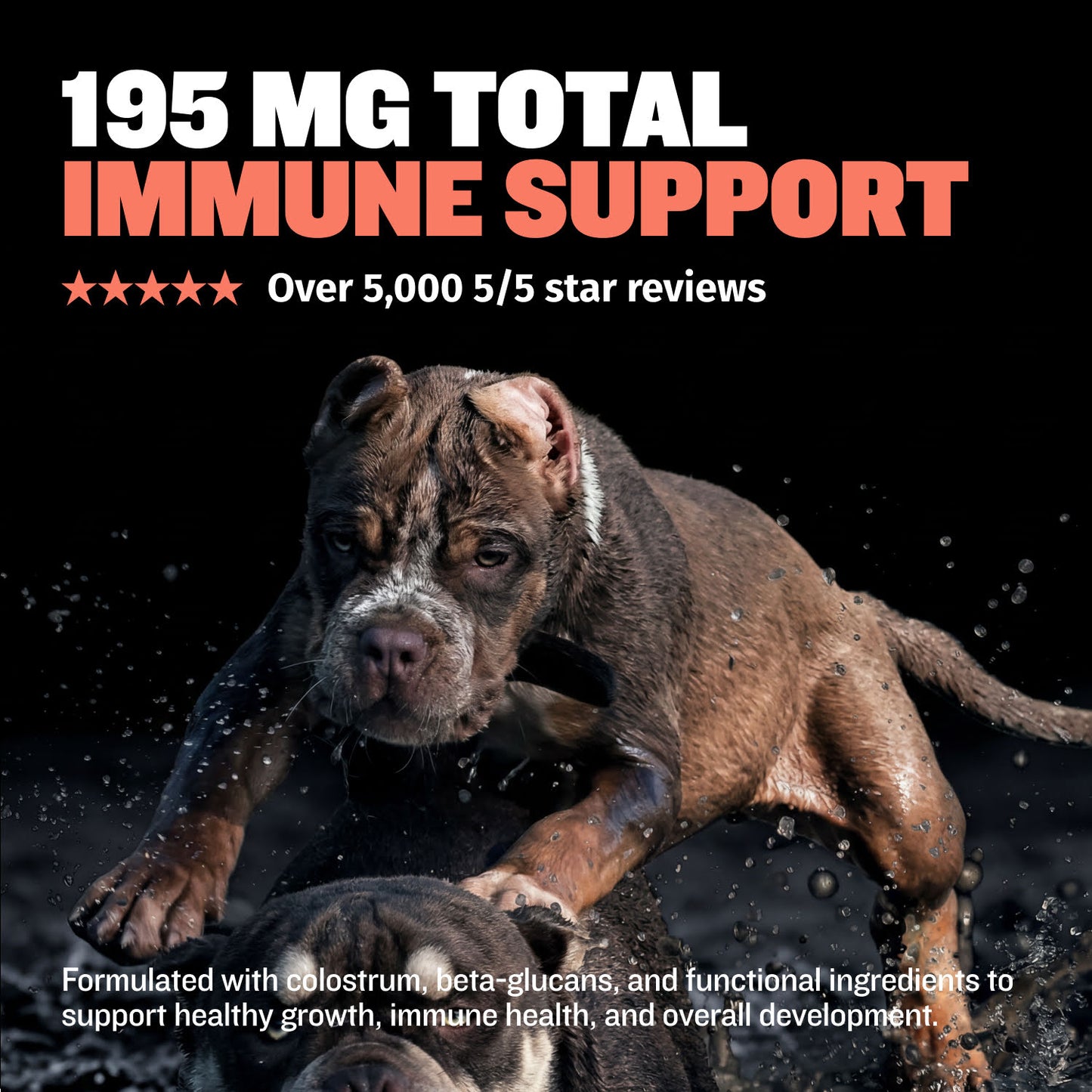 Bully Max Puppy Chews for Immunity & Growth