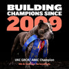 Bully Max Puppy Chews for Immunity & Growth
