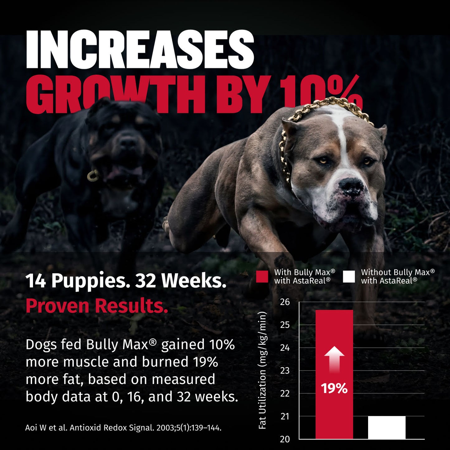 Bully Max Liquid Muscle Gain Supplement