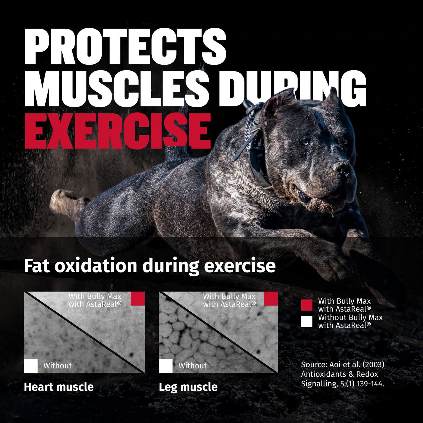Bully Max Liquid Muscle Gain Supplement