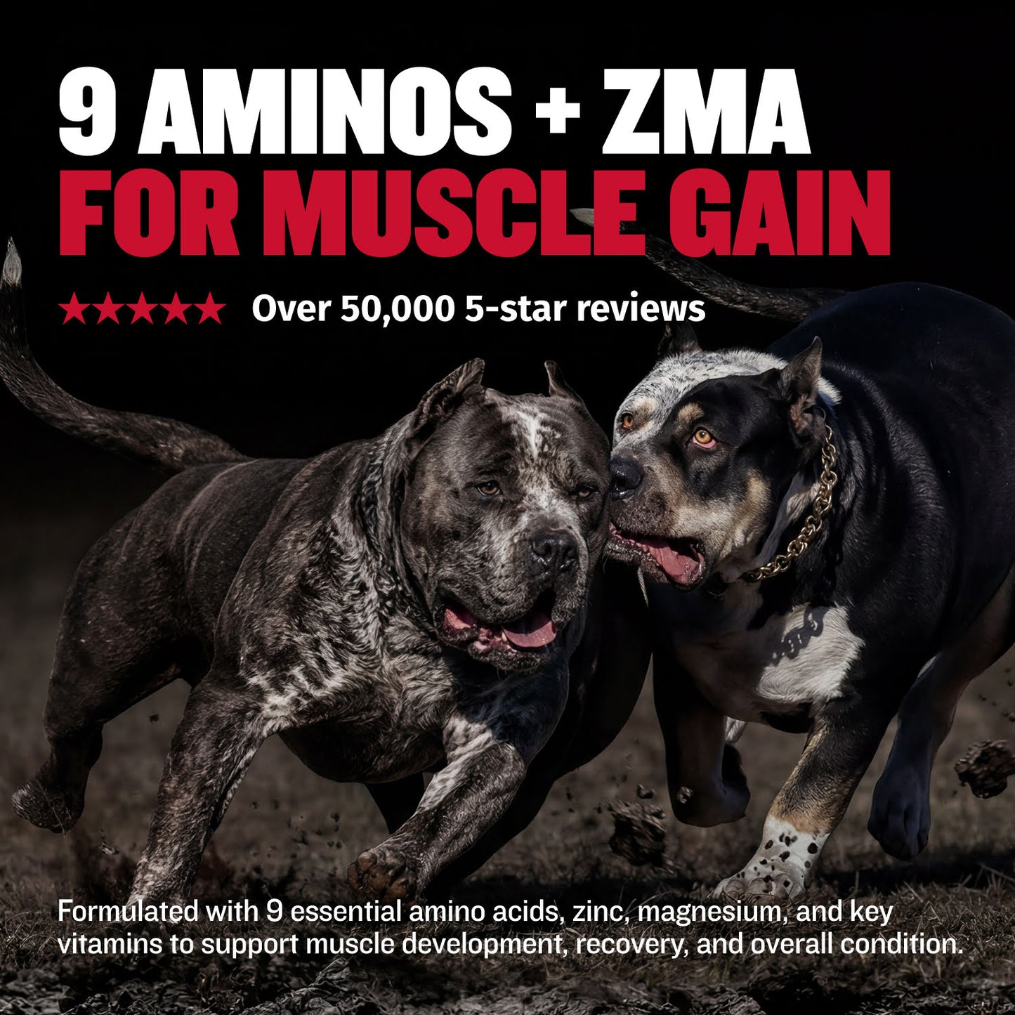 Bully Max Power Tabs for Muscle Gain