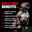 Bully Max Power Chews for Weight Gain