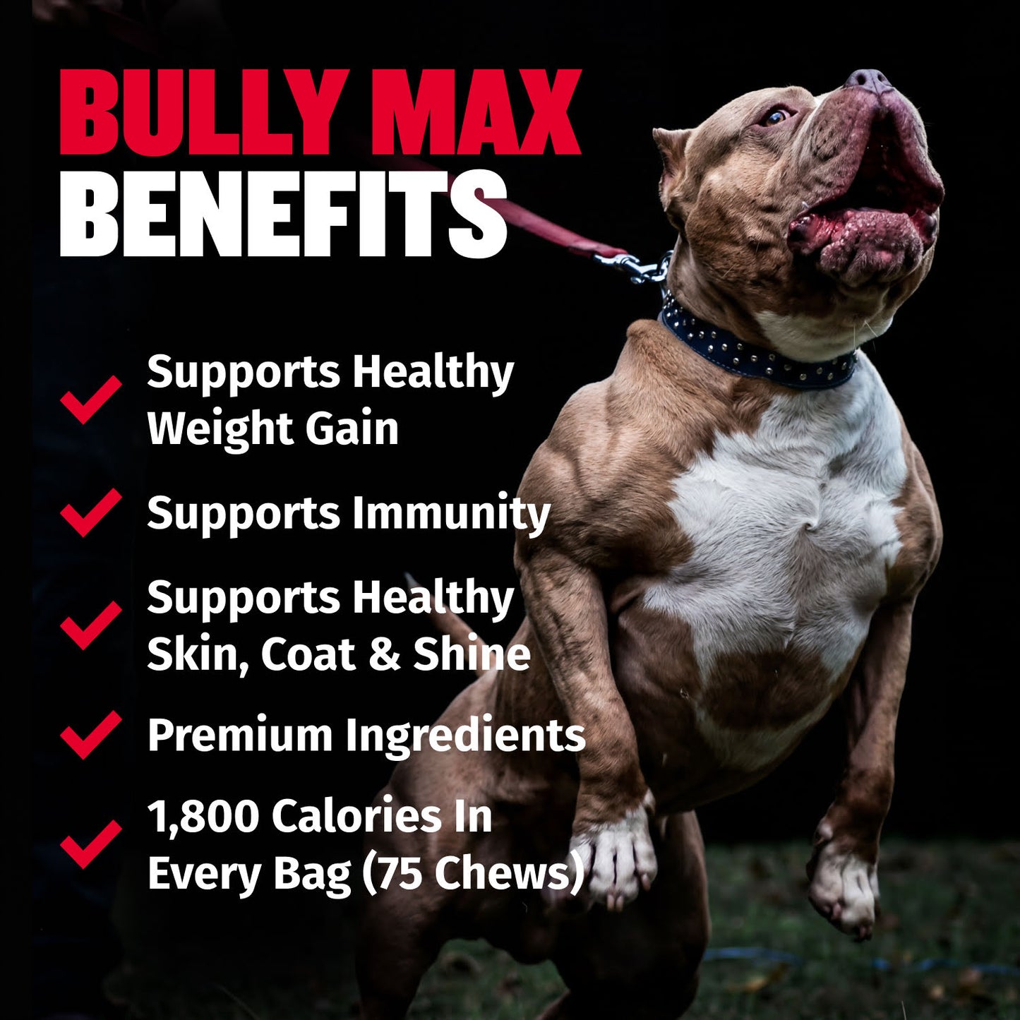 Bully Max Power Chews for Weight Gain