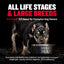 Bully Max Power Chews for Weight Gain