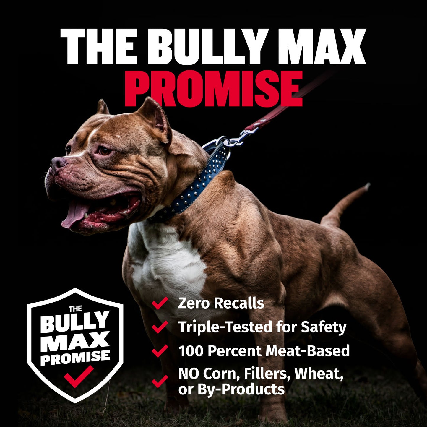 Bully Max Power Chews for Weight Gain