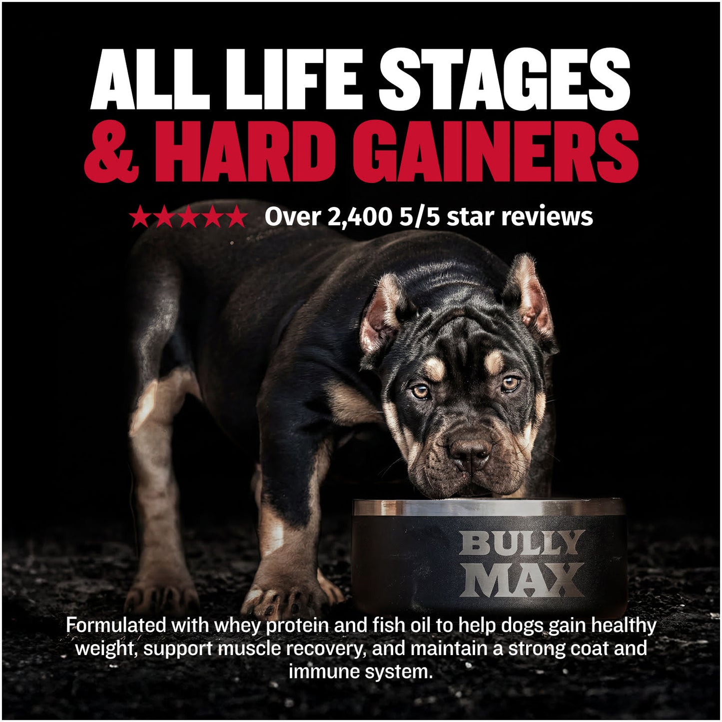 Bully Max Liquid Weight Gainer 2-in-1