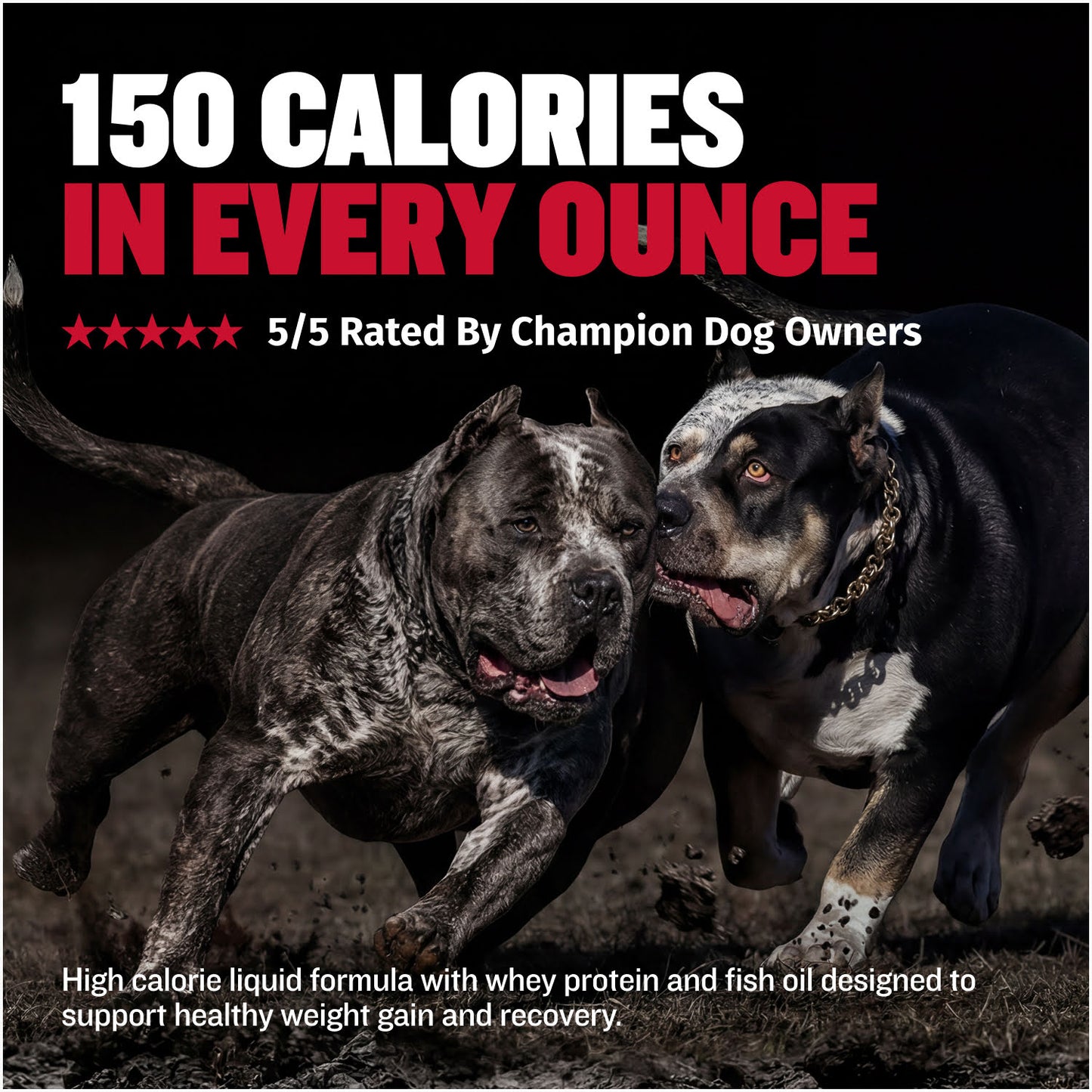 Bully Max Liquid Weight Gainer 2-in-1