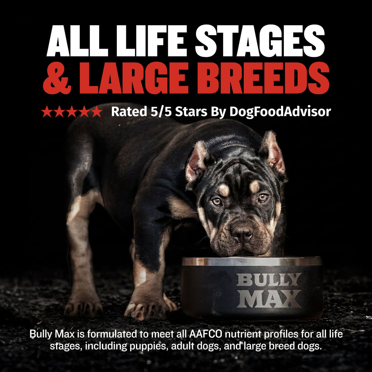 Bully Max 30/20 High Protein Beef Dog Food