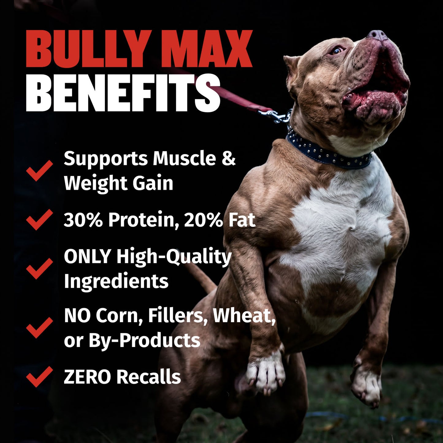 Bully Max 30/20 High Protein Beef Dog Food