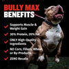 Bully Max 30/20 High Protein Beef Dog Food