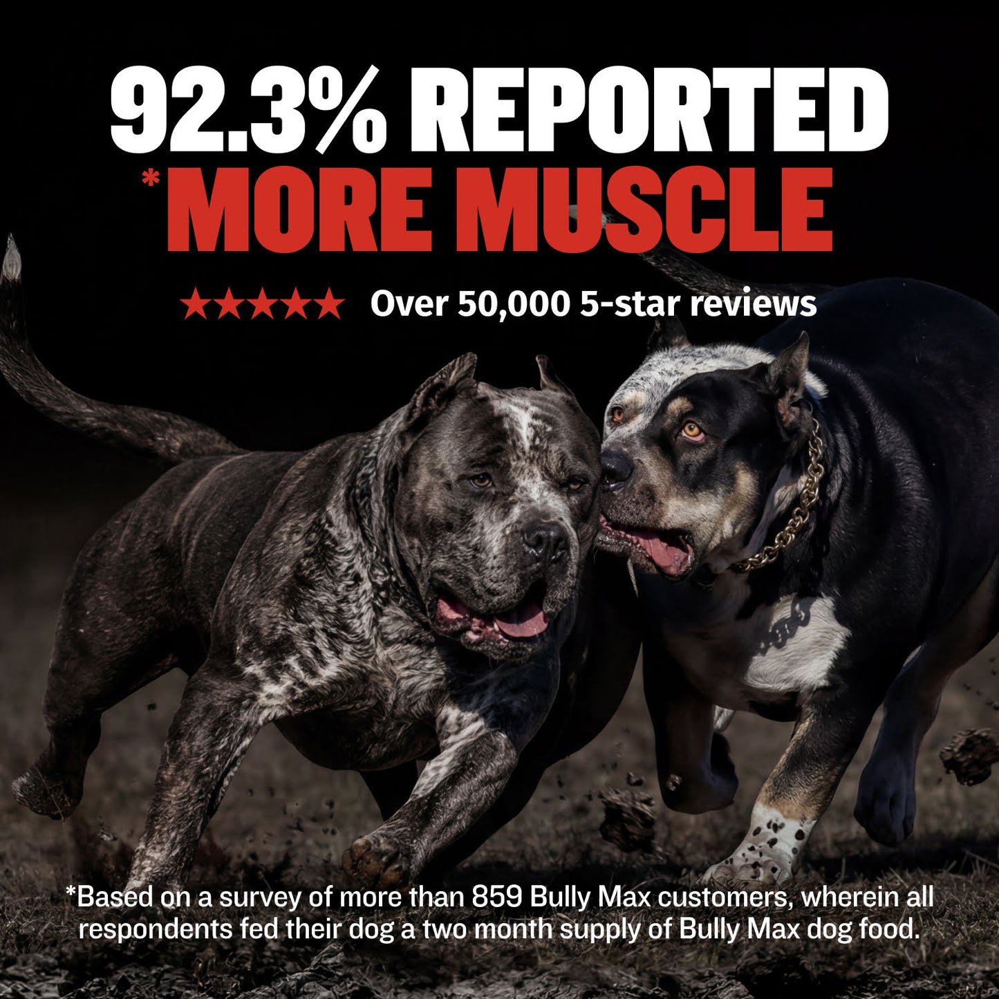 Bully Max 30/20 High Protein Beef Dog Food