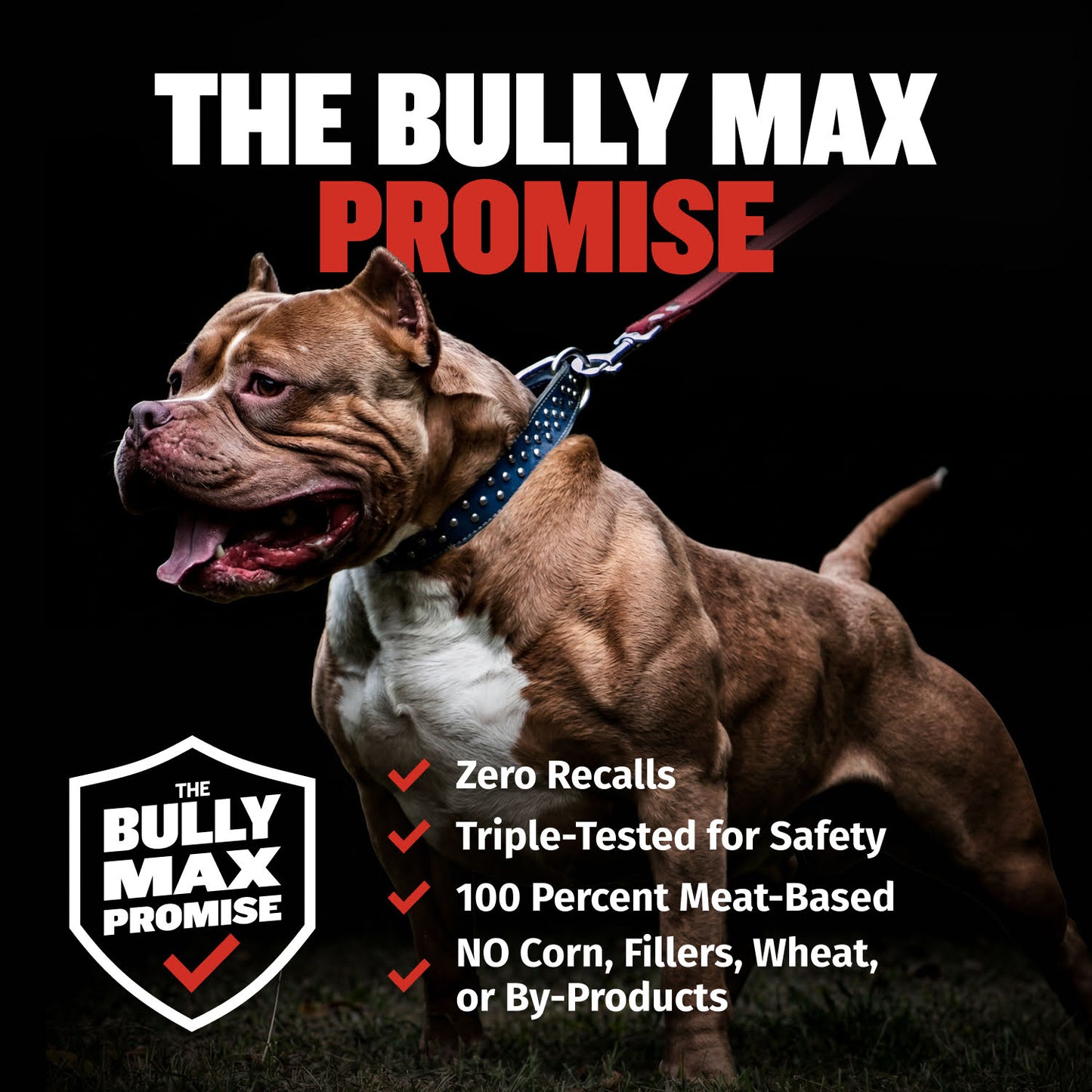Bully Max 30/20 High Protein Beef Dog Food